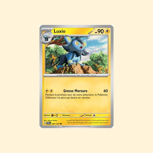 Carte Pokémon Luxio 067/167 - Mascarade Crépusculaire - Français